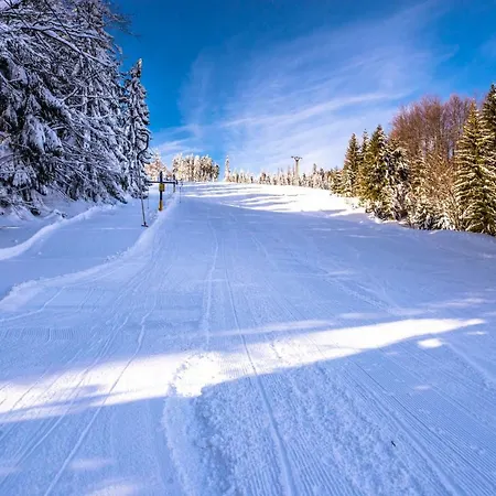 Horsky Kozubova Hotel Dolni Lomna
